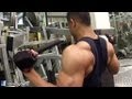 Traps Shoulders Back And Bicep Workout Hodgetwins