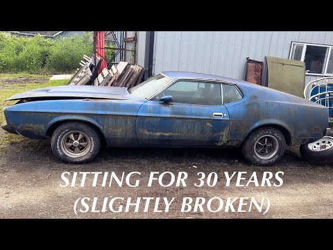 73 Mustang