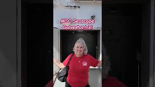 MSC Seascape!!!#shorts