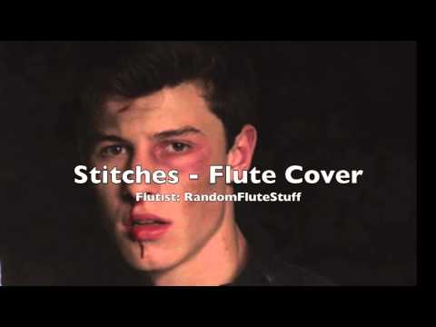Stitches - Shawn Mendes - Flute Cover