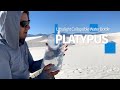 Platypus Ultralight Collapsible Water Bottle Review