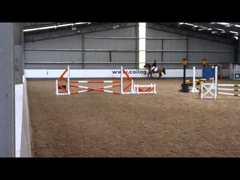 Royal Red - Coilog 16/02/13