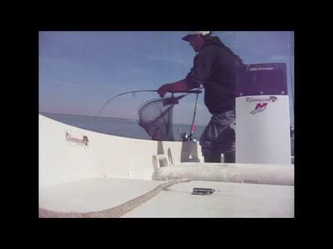 Doradas y Urtas, video captura dorada1 2410kg 20/10/2010