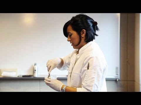 Day at Work Dietitian