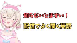 ホロライブで英語学習【これだけは知っていおいて欲しい英語！】#英語学習  #英語 #ホロライブENGLISH