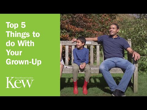 Top 5 Things to do With Your Grown-Up at Kew Gardens