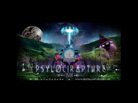 Frantic Noise at Psylocirapture- Argentina, 2013