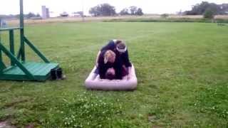 Honey I'm Home Game - Catman