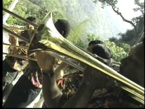 Por telefono - ALEXIS MURILLO - LOS NEMUS DEL PACIFICO - COLOMBIA