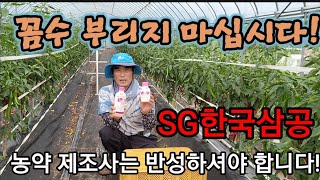 농약제조사에게 속지 마세요! 농민들 눈물난다! Farmers are crying!