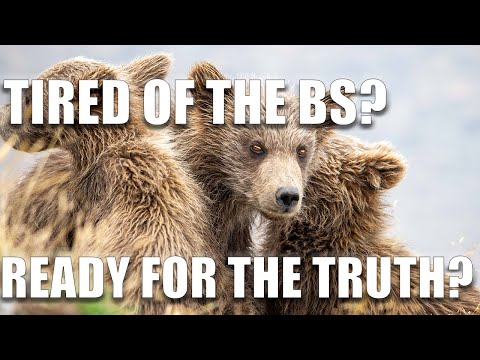 Grizzly Bear Encounters in Alaska Explained by a Professional Bear Guide
