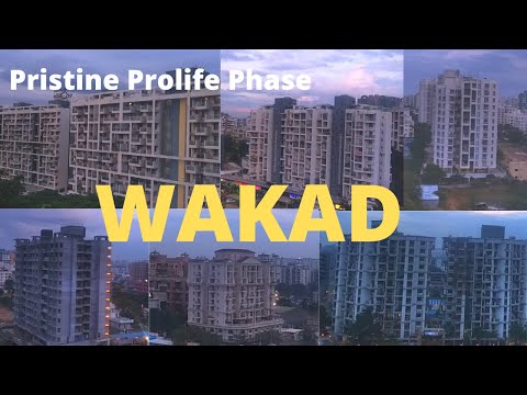 Pristine Prolife Project Tour 1