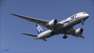 preview picture of video 'Boeing 787 Dreamliner (787-881) All Nippon Airways ANA (Japan) Landing approach !!'