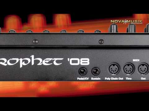 Novamusik.com - Dave Smith Instruments Prophet 08 Module