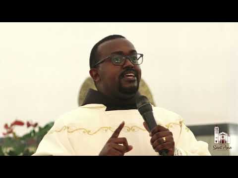 Homilia - Natal do Senhor - Missa da Vigília do Natal