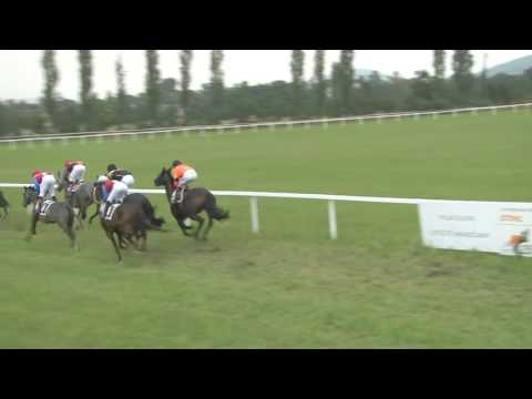 MI, 17. 7. 2016, 2. dostih - Cena firmy OMA CZ a.s. II.oddělení