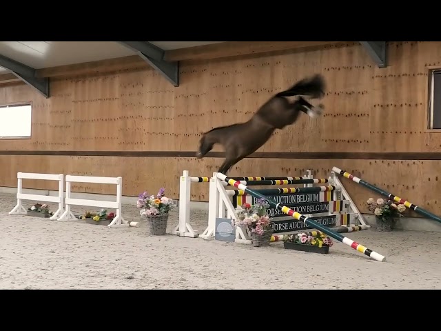 Jumping
