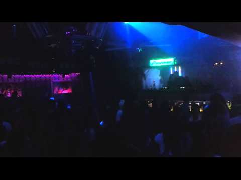 IBIZA - ŚWIEDZIEBNIA _ YOUNG BEE 27.12.2014 NASZ KLUBOWY SYLWESTER