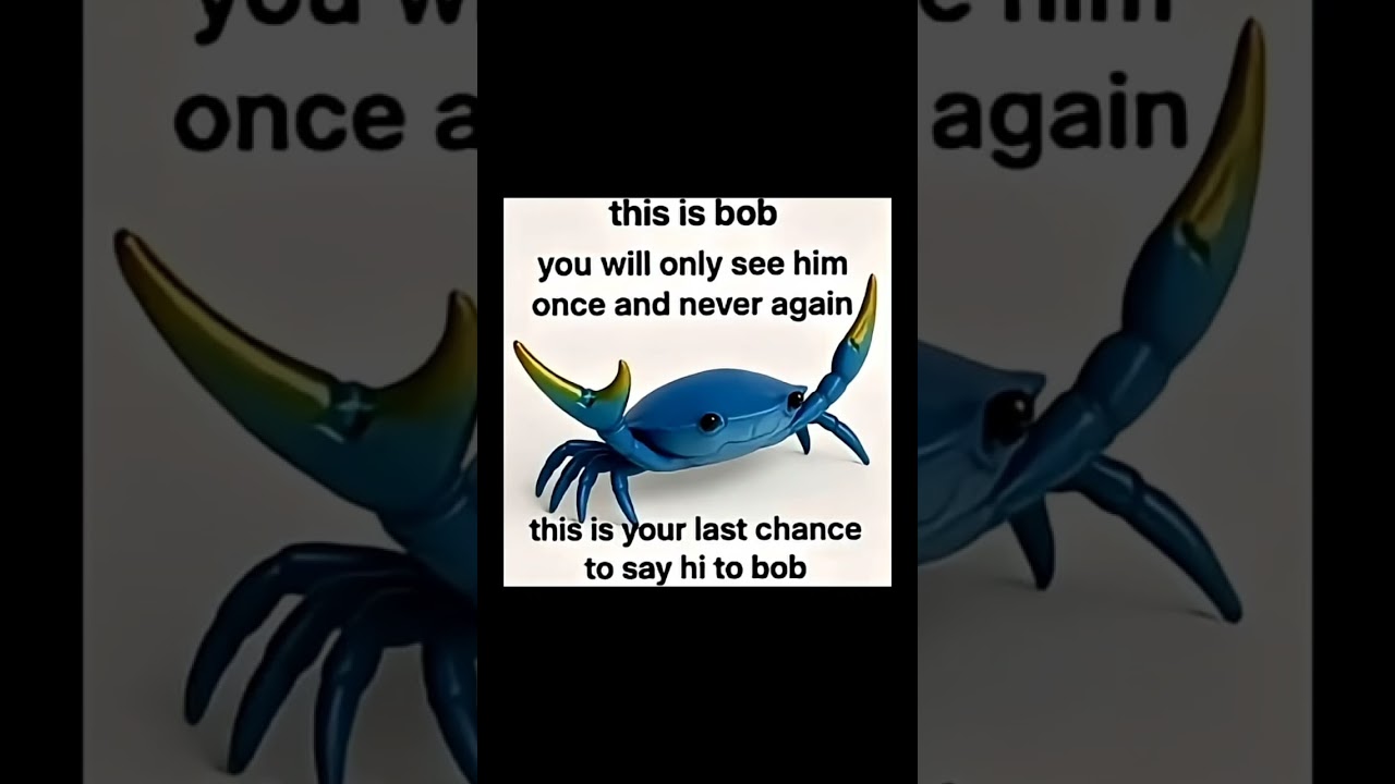 Say hi to Bob. #crab #meme #crabrave #bob #memes #shortvideo #short #shorts