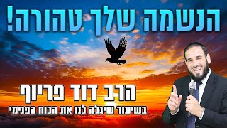 הנשמה שלך טהורה | הרב דוד פריוף | שידור חי! (הרב דוד פריוף) - התמונה מוצגת ישירות מתוך אתר האינטרנט יוטיוב. זכויות היוצרים בתמונה שייכות ליוצרה. קישור קרדיט למקור התוכן נמצא בתוך דף הסרטון