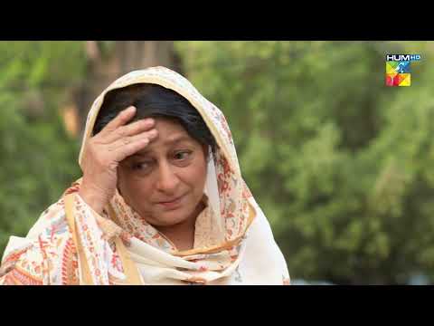 Umeed Hui Darbadar... Beqadar - HUM TV Drama