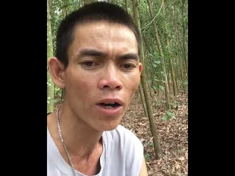 Soytiet 1 2 3 4 5 to 29