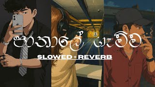 Download lagu පාතාලේ ගැම්මට අහන්න සුපිරි  Slowed   Reverb  රැප් සෙට් එක   Pathale Sinhala Rap Song   Part 10 mp3