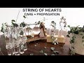 String Of Hearts Care Propagation Houseplant Care Tips