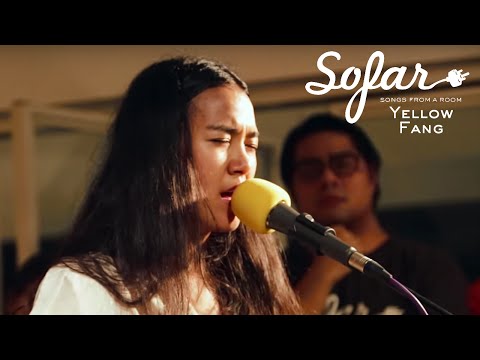 Yellow Fang - Blanket | Sofar Bangkok