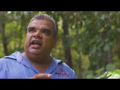 Mandingalbay Authentic Indigenous Tours