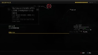 ちょっとチャンのbo4