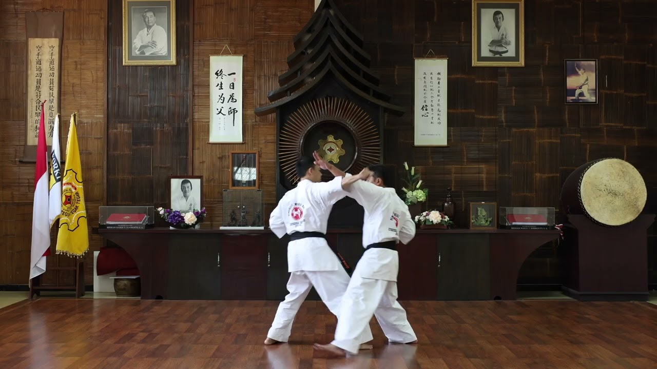 Ippon Kumite 2