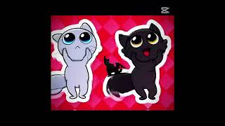 This video is mine, it's not stolen, it's mine. #capcut #cat