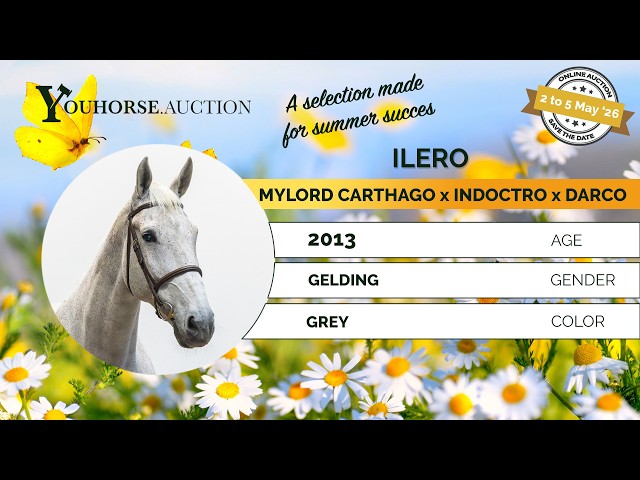 Ilero