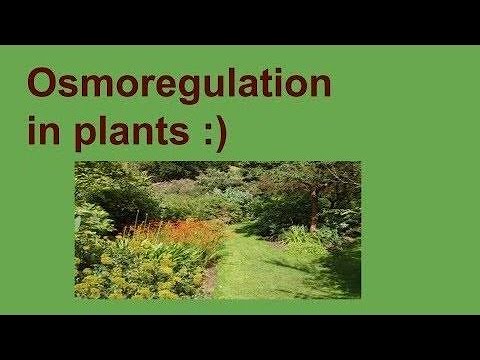 12th biology-Chapter 1-Topic: Osmoregulation in Plants
