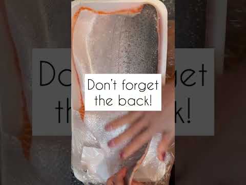 How to quickly cure your own salmon at home for sushi, sashimi & Poke