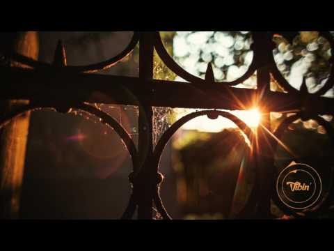 Loop Schrauber - Vibes