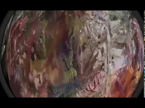 Nukü Inipaburã - Mapu Huni Kuin