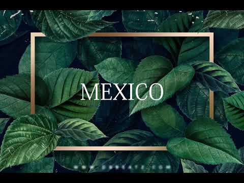 MAES X BOOBA '' MEXICO '' X BRAMSITO & NISKA TYPE BEAT || PROD DB BEATZ