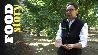 Thumbnail del capítulo