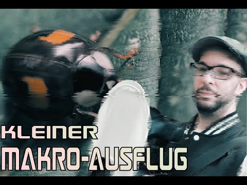 A little Macro photography-trip