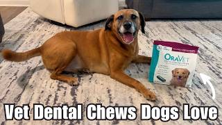 🐶 ORAVET Dental Chews for Large Dogs | Long-Time User Review