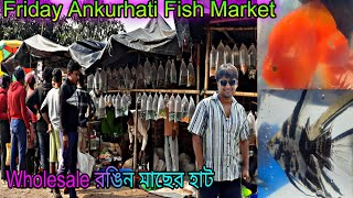 Ankurhati Fish Market | Ankurhati Pet Market | Fish Market | Howrah Pet Market Ankurhati | Fish Haat