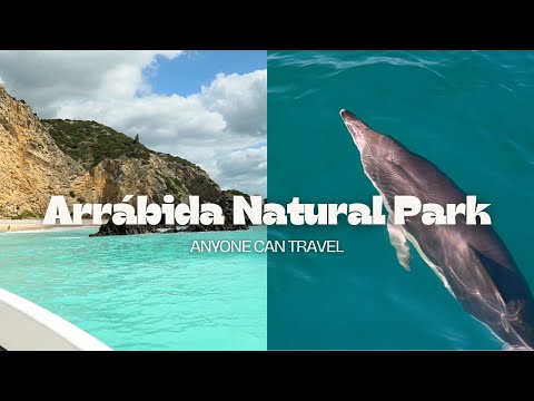 Dolphin Watching Day Trip from Lisbon Portugal | Arrábida Natural Park