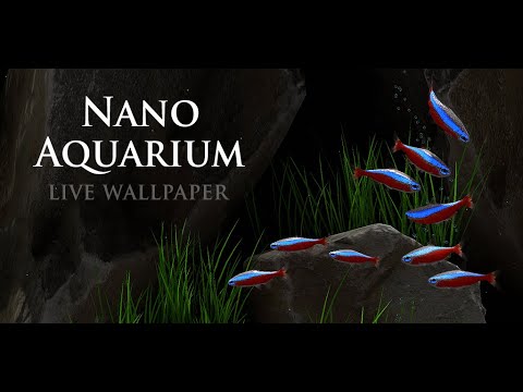 Nano Aquarium Video