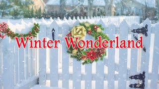 🎅🎄⛄ Winter Wonderland Christmas Song with Lyrics | Anne Murray | FULL HD