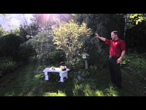 Homes for sale in Saint John, 37 Sandalwood Crescent, by Realtor Shawn Tucker