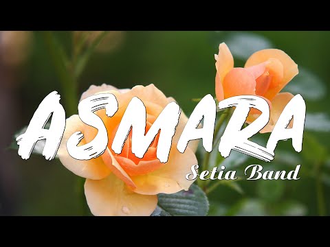 ASMARA | SETIA BAND | lirik video