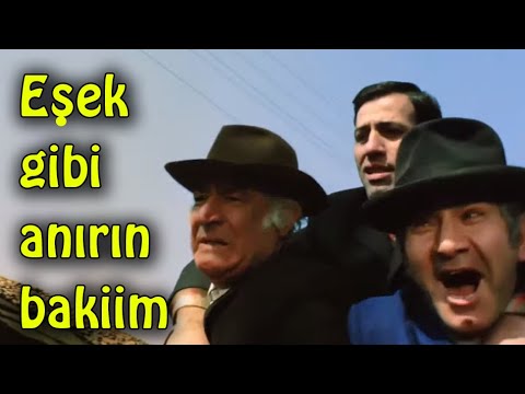 ÜÇ KAĞITÇI   - Eşek Gibi Anırın Bakiim!!