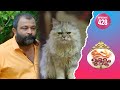 Uppum Mulakum 2 Flowers EP 428
